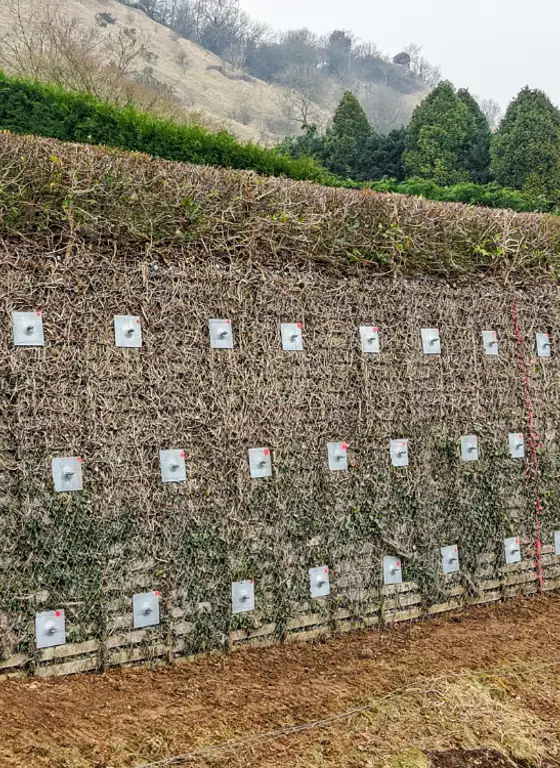 Gloucestershire Retaining Wall Stabilisation