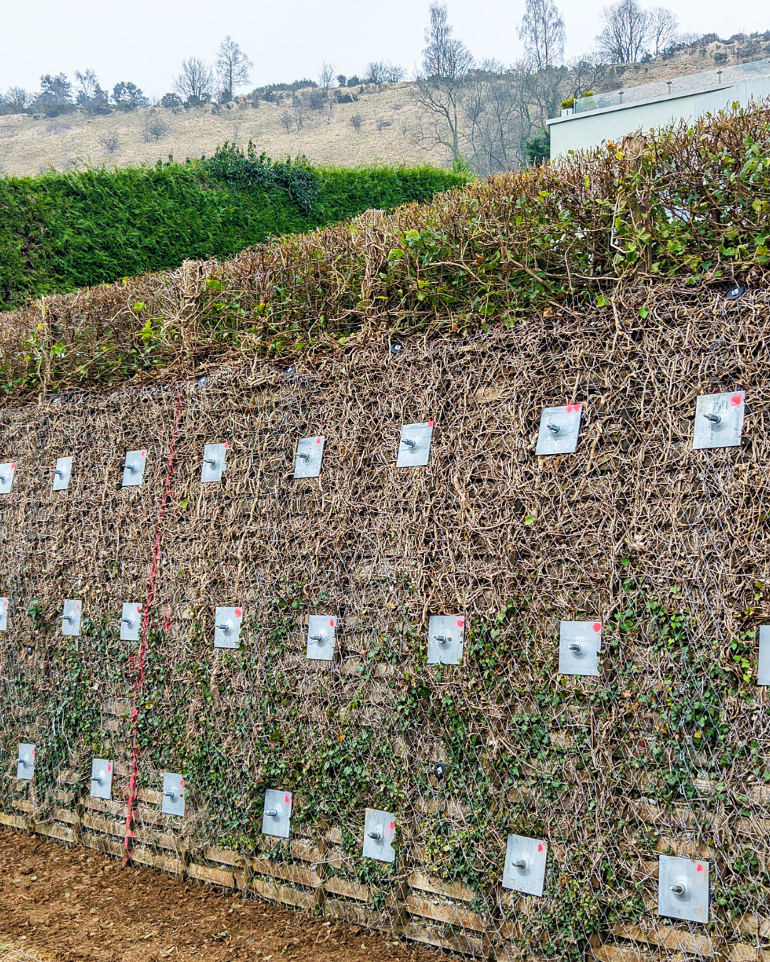 Timber Crib Wall
