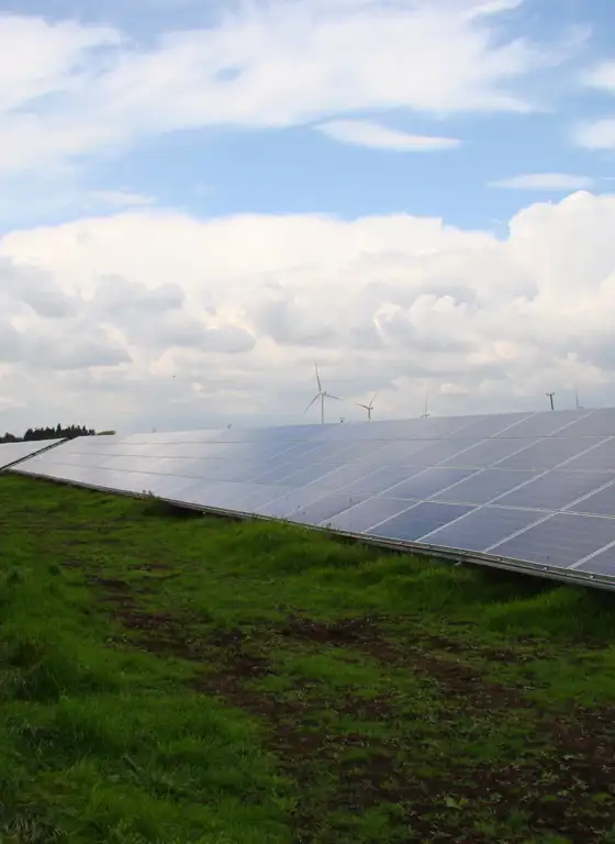 Black Bush – Solar Farm